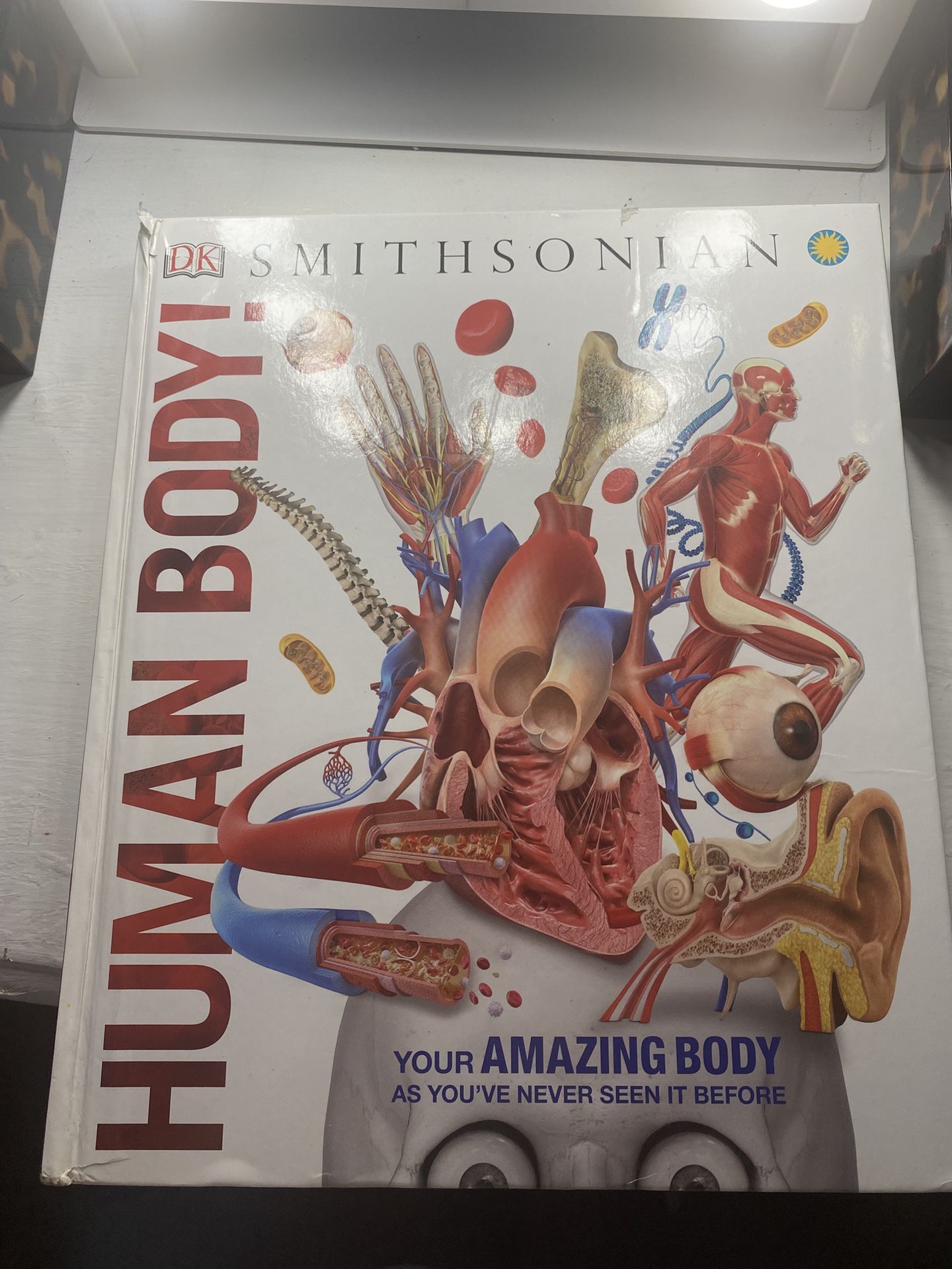 SMITHSONIAN Anatomy Human Body Textbook