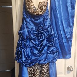 Prom/ Formal Gown 