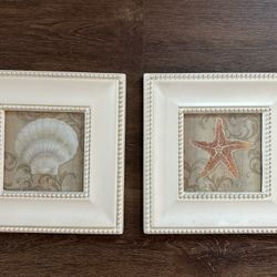Framed Sea Creature Art