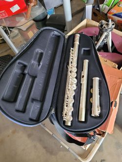 Flute and case