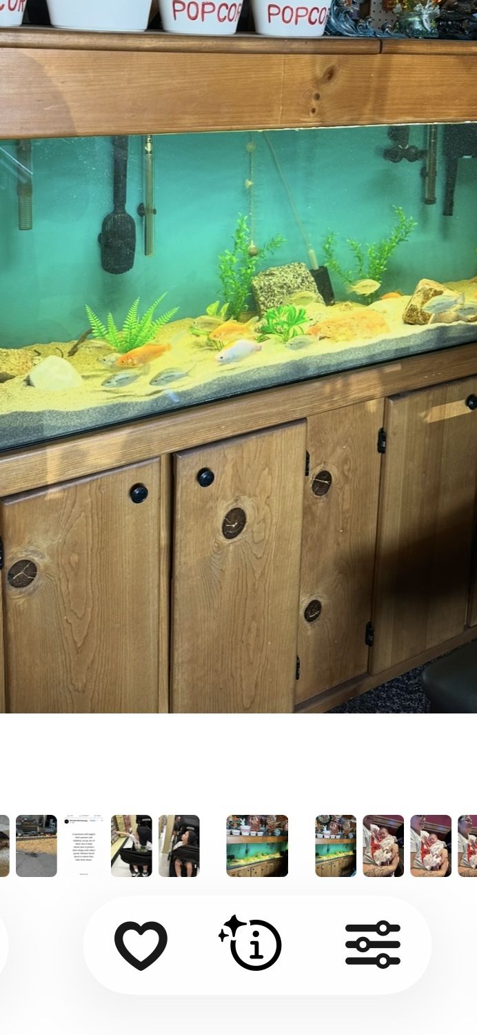 Aquarium. 125 Gallon