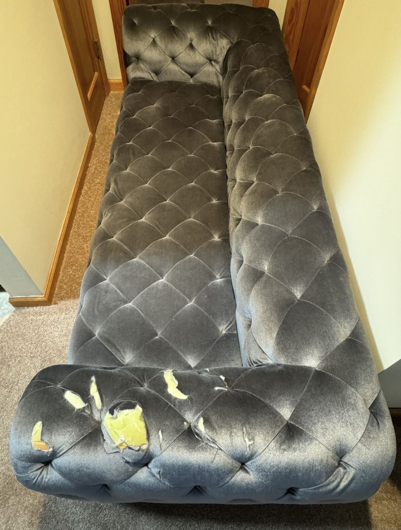 Mcandrews 91" Velvet Rolled Arm Chesterfield Sofa