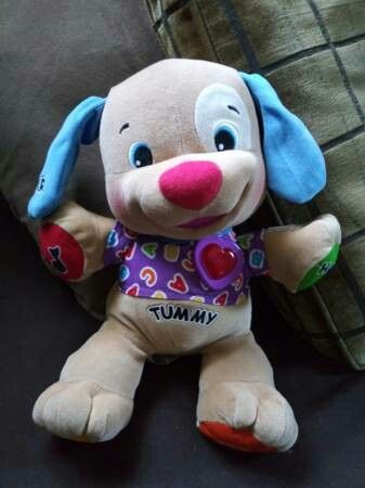 Laugh & Learn Puppy* Works Great!