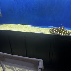 240g Acrylic Aquarium 