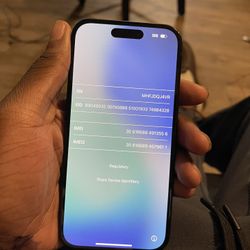 iPhone 16