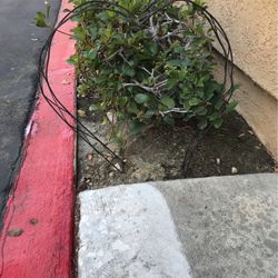 Heart Wire Wreath  for flowers