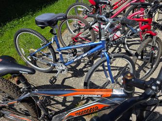 Adult bikes