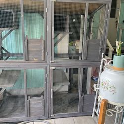 Large Catio