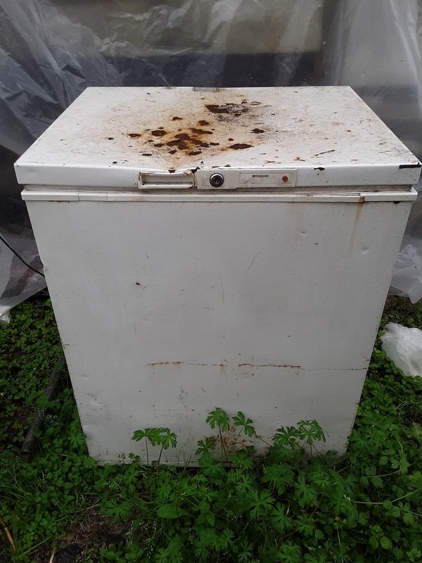 Freezer Rusty but Working for Sale in Houston, TX OfferUp