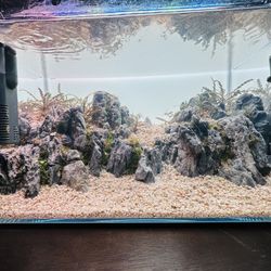 ADA Rimless Tank