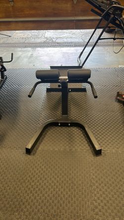 Roman Chair Back Hyperextension