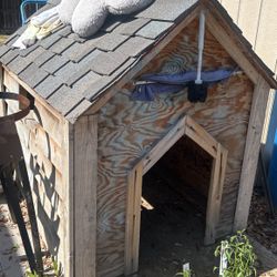Dog House 