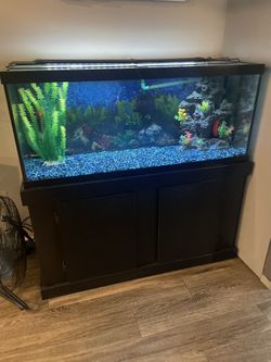 Big 75gallon Fish Tank