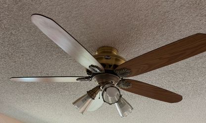 Hunter Fan
