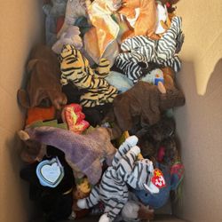 Box Of Beanie Babies