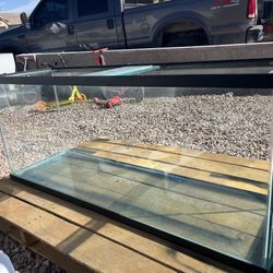 Fish Tank/Aquarium