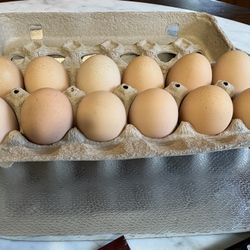 Fresh Organic Eggs  (Huffman Area  in Harris County)
