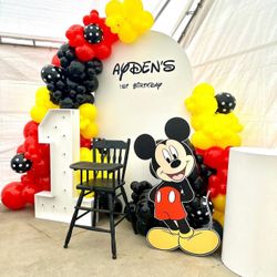 Mickey Backdrop 