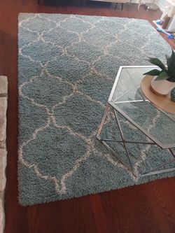 Large Area Rug