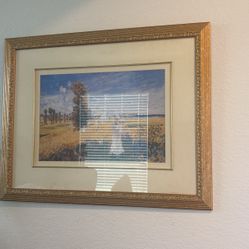 Big Frame 