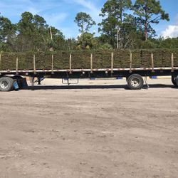 St Augustine Sod Pickup Or Delivery 