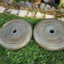 1" Weight Plates (Set Of 2) 25lbs Each