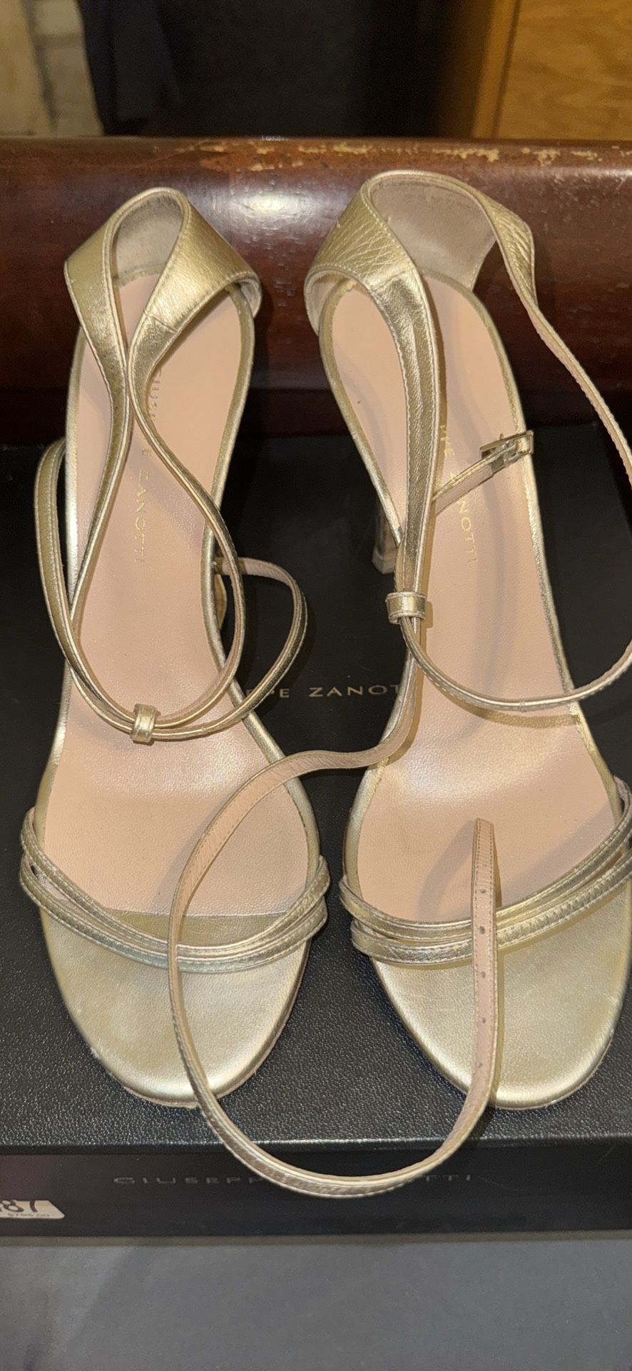 Giuseppe Zanotti Catia Heels