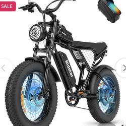 Ridstar Q20 Mini 20 Inch Fat Tire 1000w Motor 28MPH Electric Bike