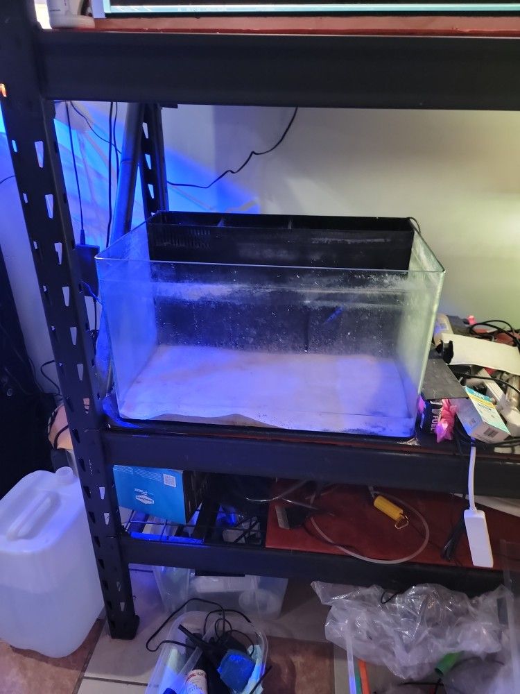 20 Gallon Curved Rimless Fish Tank