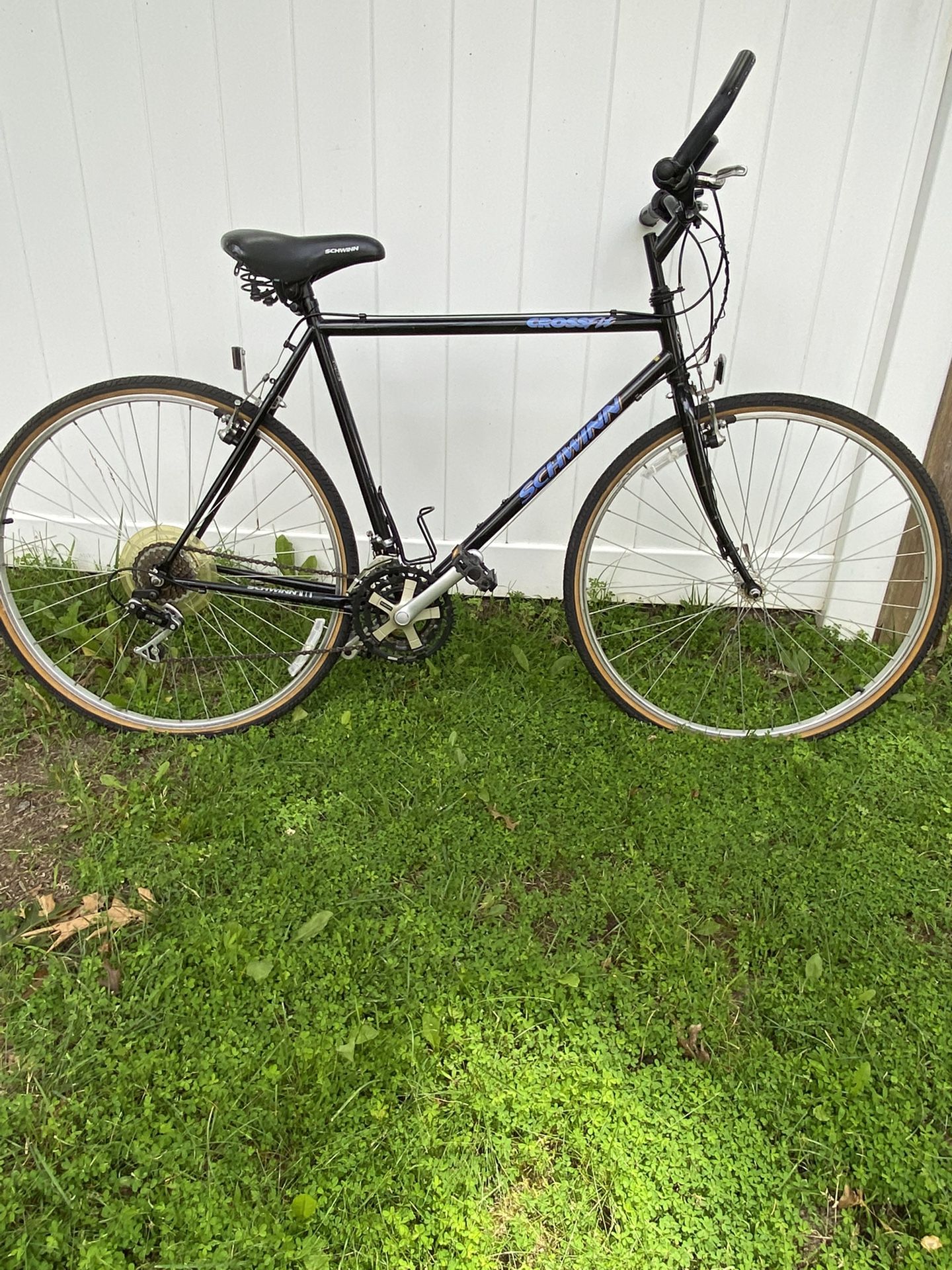 schwinn crossfit bike