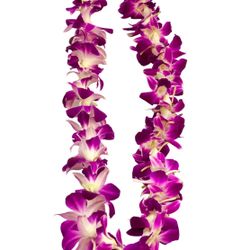 Single Graduation Lei 