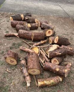 Free wood