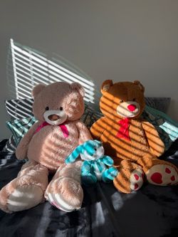 Large Teddy Bears