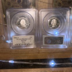 2005 – SPCGSPR 69 de Cambio West Virginia/2004 – SPCGSPR 69D cameo silver Florid