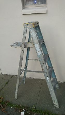 Werner 5 ft. Ladder / Paint Tray