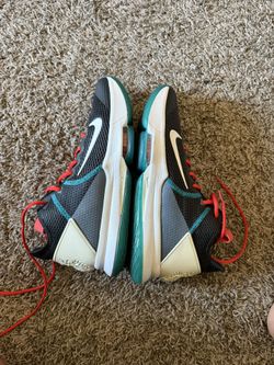 LeBron Witness 4 Size 12