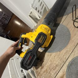 Dewalt Blower