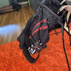 Callaway Rogue Iron Set + Titelist Golf Bag
