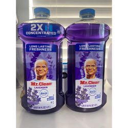 Mr. Clean  (41 oz each)