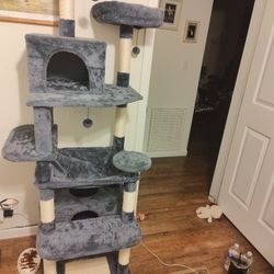 Cat Condo