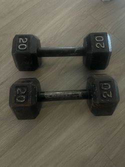 20 Lb. Dumbbells