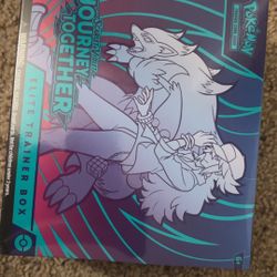 Pokemon Journey Together 
