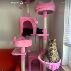 YITAHOME Tall Cat Tree for Indoor Cats, 75 inch Multi-Level Cat Tower with Cat Condos, Top Perches, Sisal Ramp Scratching Posts, Cozy Basket,Hammocks,