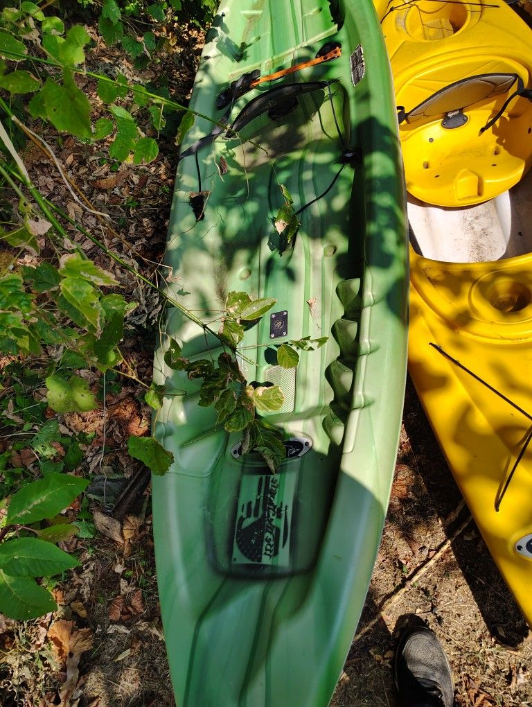 Kayaks