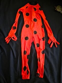 Miraculous Costume