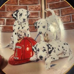 Dalmatian Collector Plates