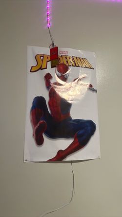 Spider man poster
