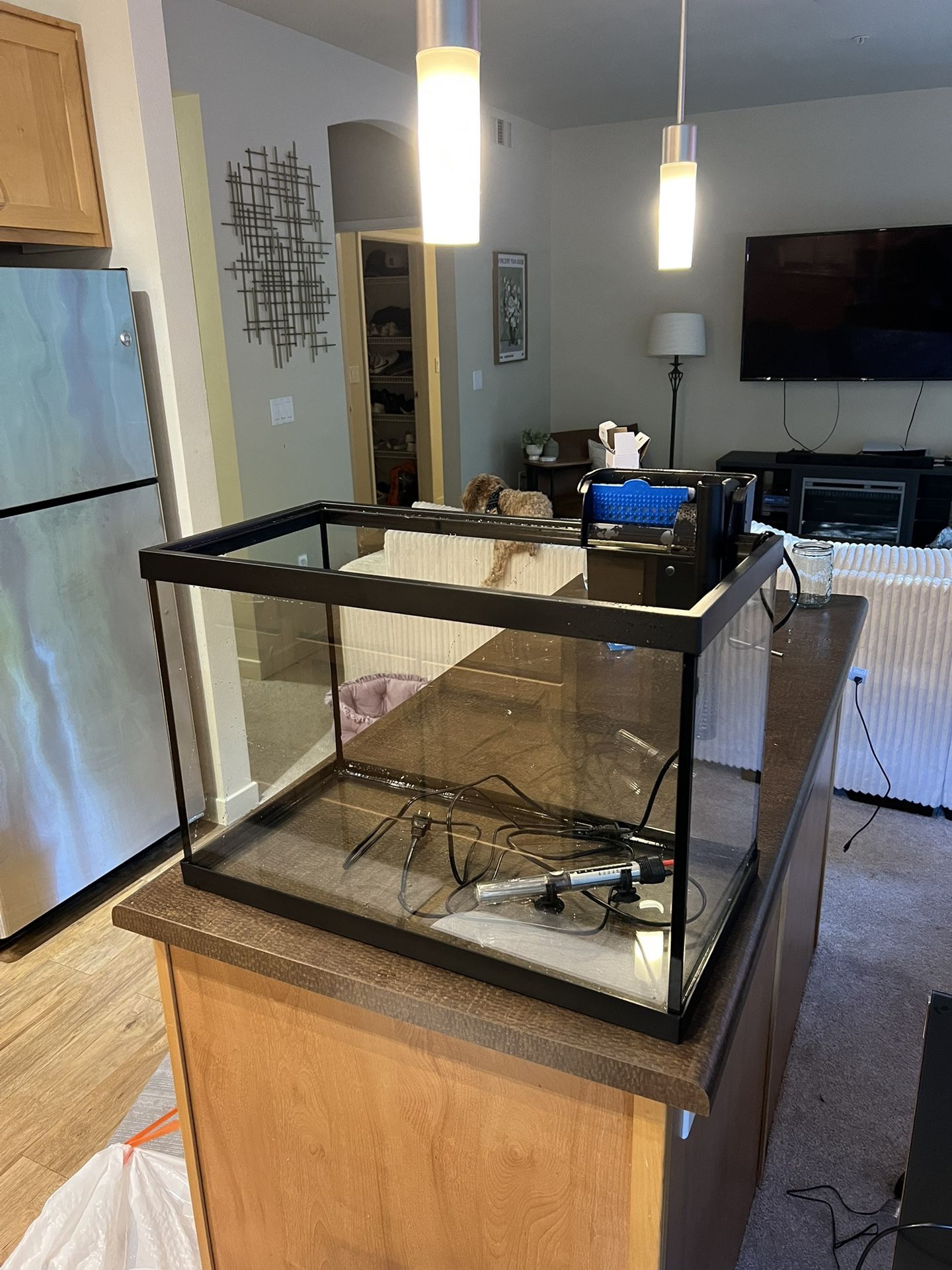 Led 20 Gallon Fish Tank With Filter And Heater