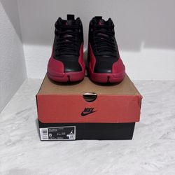 Jordan 12 Flu Game (2025) (Size 8,10,11)