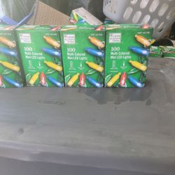 Home Eccents 100 Multi Mini Lights 